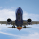 A Southwest Boeing 737 Max 8 from Tampa lands at Fort Lauderdale-Hollywood International Airport on March 11, 2019 in Fort Lauderdale, Florida.